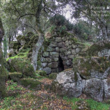 Gli Iliensi a Burgos